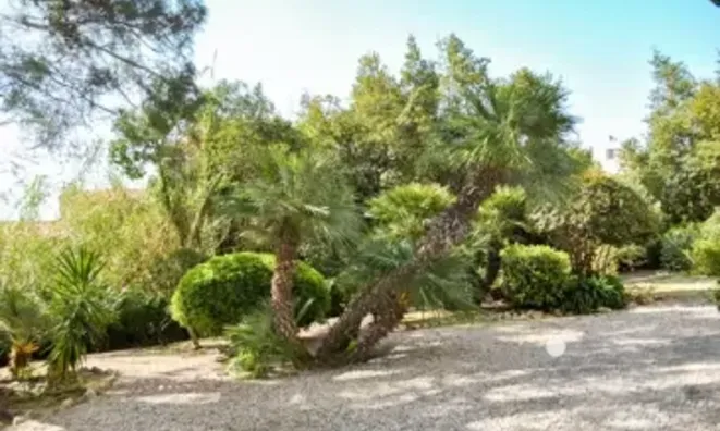 Недвижимость Villa Pointe Croisette: 8