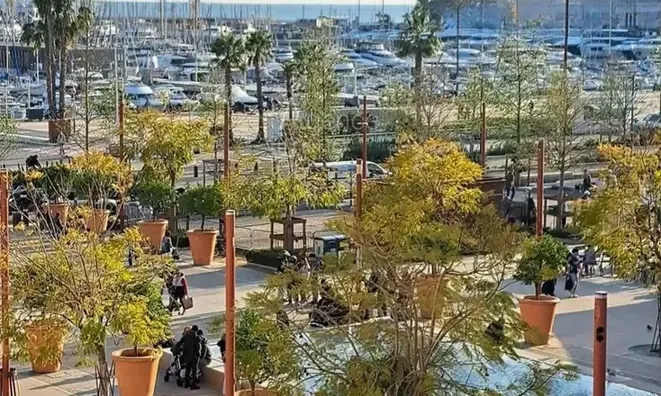 Недвижимость Condo Cannes Centre-ville: 4