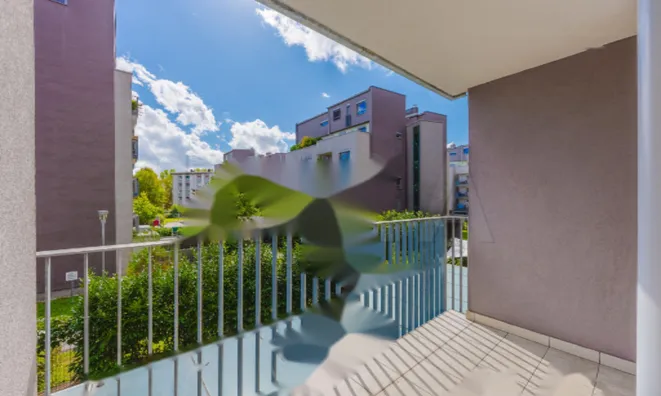 Недвижимость Квартира в Зеленой Яме: 23