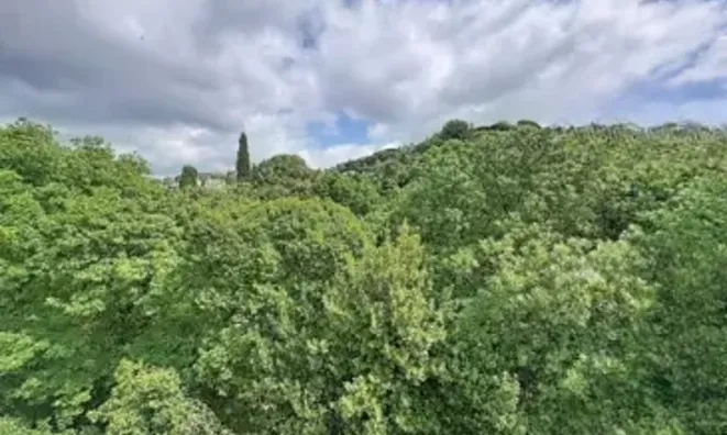 Недвижимость Villa Cannes: 12