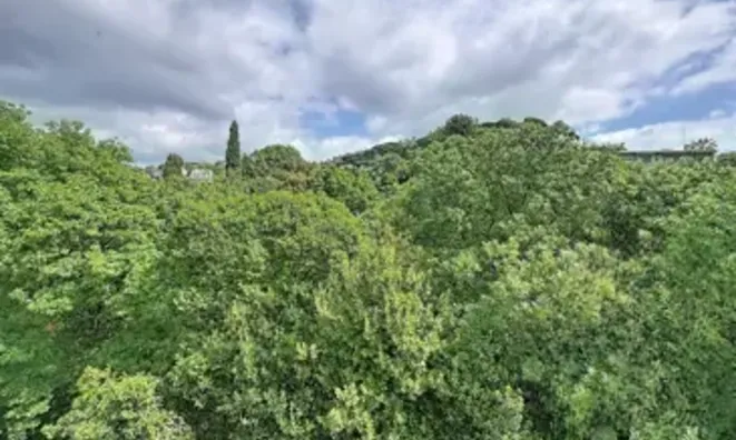 Недвижимость Villa Cannes: 14