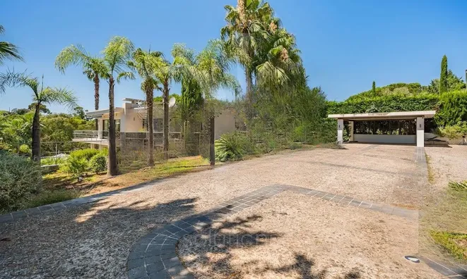 Недвижимость Property Cannes: 14