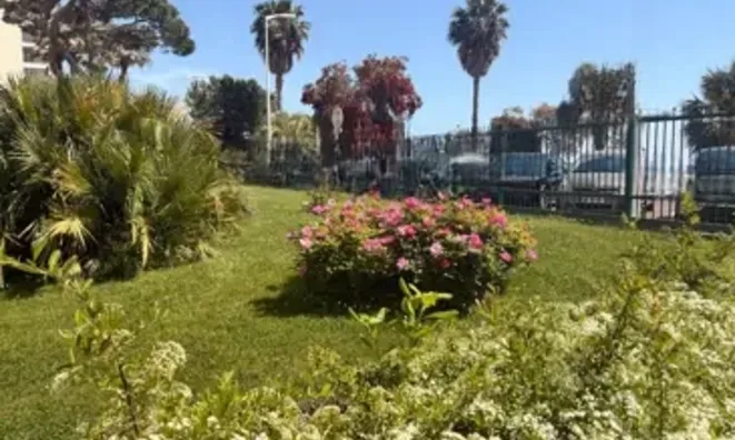 Недвижимость Villa Cannes: 3