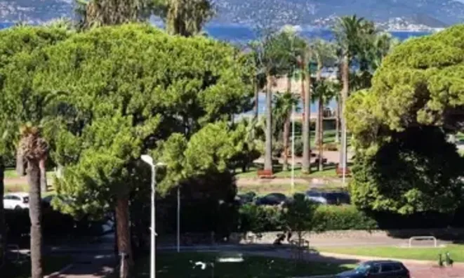 Недвижимость Villa Cannes: 12