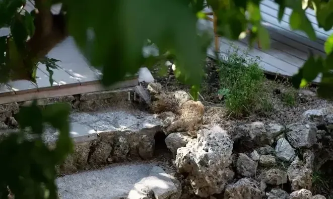 Недвижимость Villa Cannes: 28