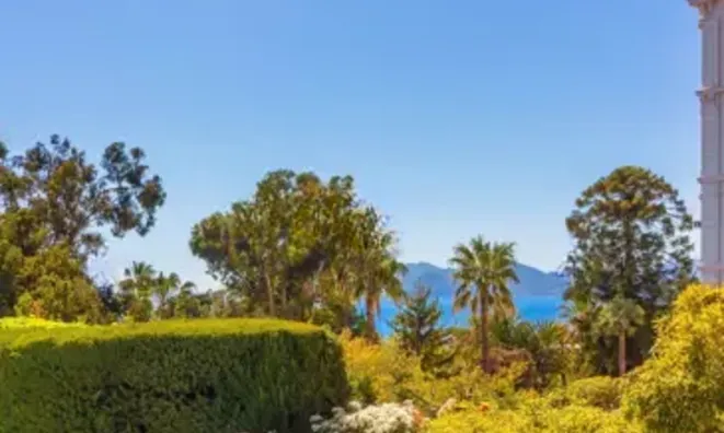 Недвижимость Villa Cannes: 23