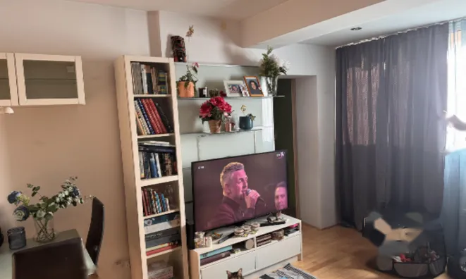 Недвижимость 2-комнатная квартира Изола: 29