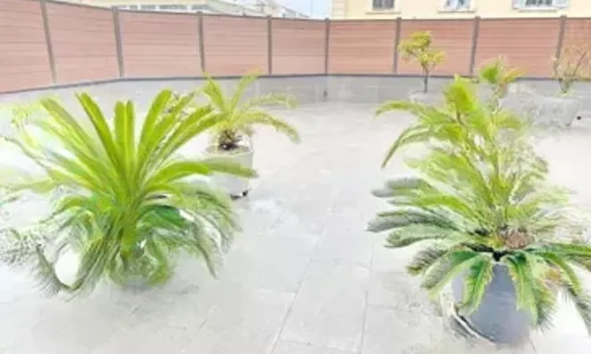 Недвижимость Villa République Cannes: 2