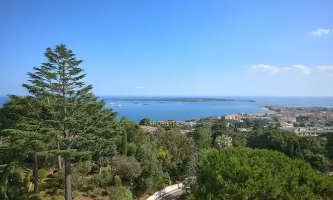 Недвижимость House Cannes Californie: 20