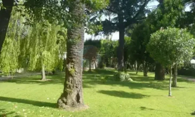 Недвижимость Property Cannes: 11