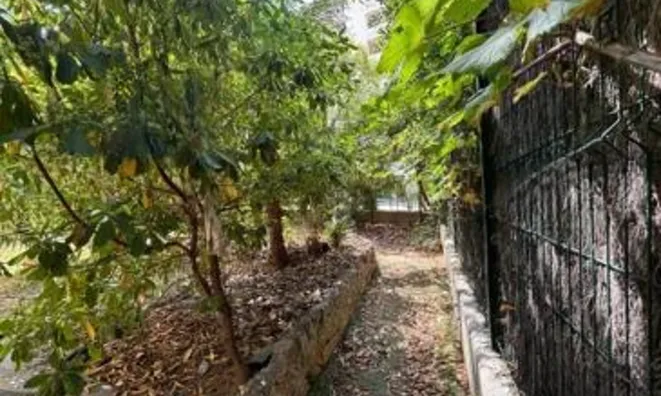 Недвижимость Villa Suquet Cannes: 6