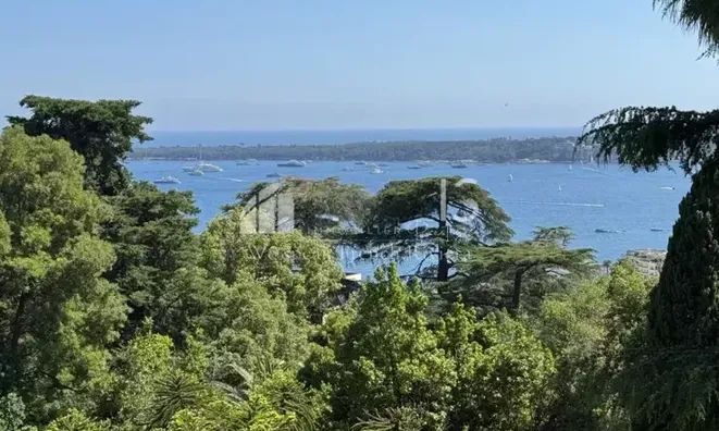 Недвижимость Villa Cannes: 13