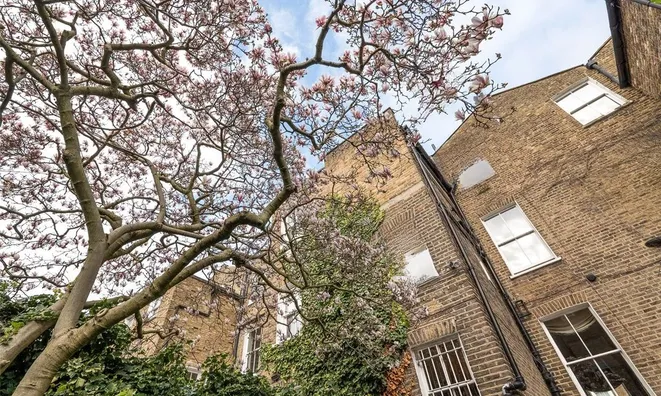 Недвижимость Limerston Street, Chelsea: 5