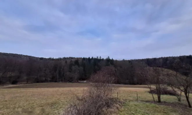 Недвижимость Усадьба, ферма Ковачевцы: 14