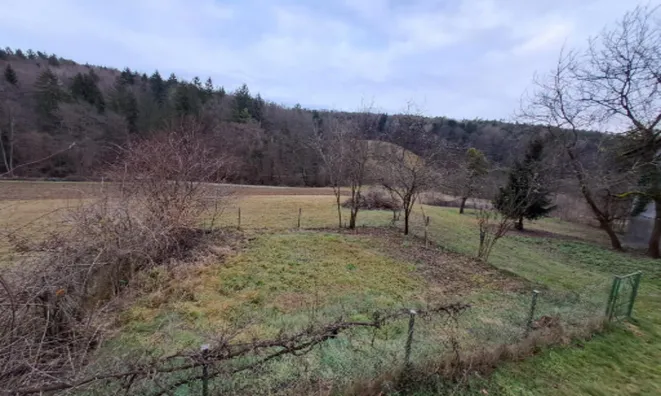 Недвижимость Усадьба, ферма Ковачевцы: 15