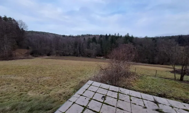 Недвижимость Усадьба, ферма Ковачевцы: 16