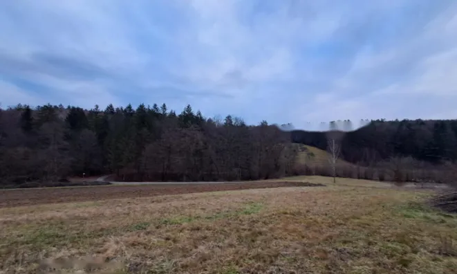 Недвижимость Усадьба, ферма Ковачевцы: 20