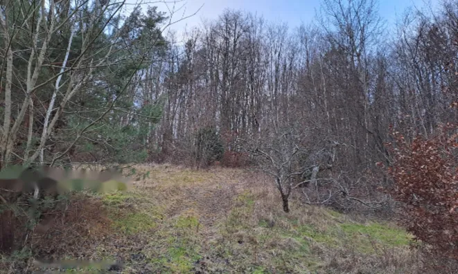 Недвижимость Усадьба, ферма Ковачевцы: 23