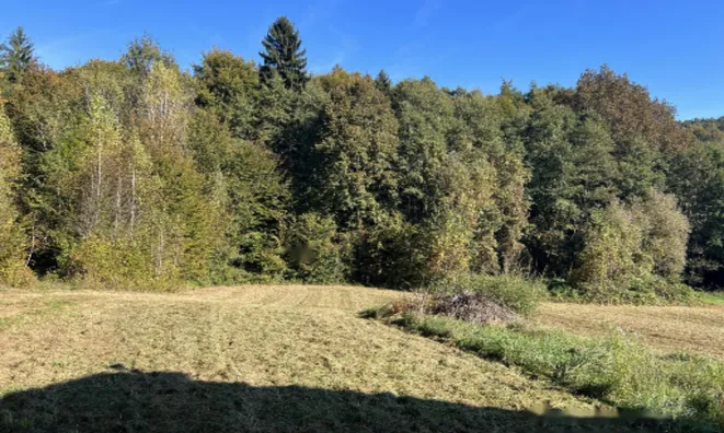 Недвижимость Усадьба, ферма Ковачевцы: 26