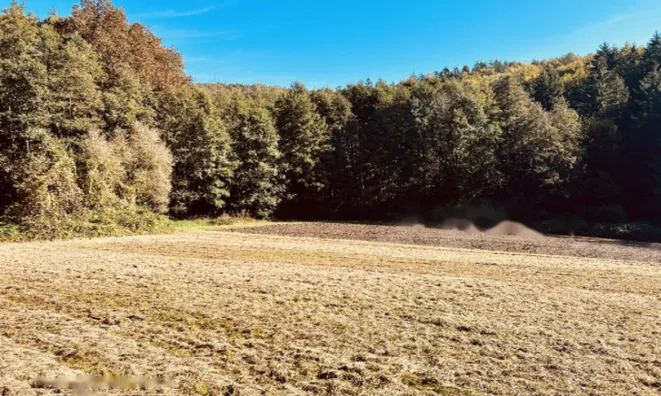 Недвижимость Усадьба, ферма Ковачевцы: 29