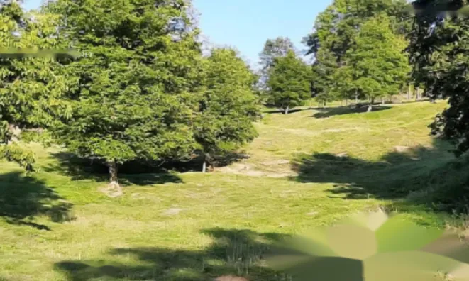 Недвижимость Усадьба Хозяйственное Поле Вуковски Дол: 2