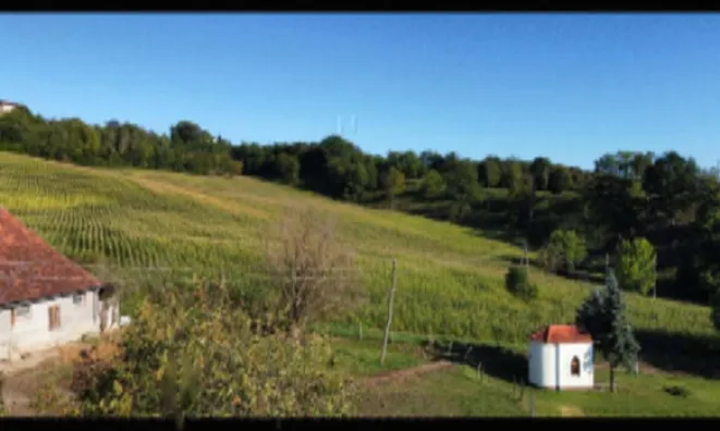 Недвижимость Усадьба Хозяйственное Поле Вуковски Дол: 4