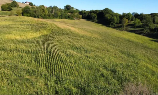 Недвижимость Усадьба Хозяйственное Поле Вуковски Дол: 7