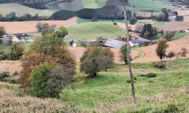 Недвижимость Усадьба Хозяйственное Поле Вуковски Дол: 11