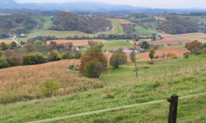 Недвижимость Усадьба Хозяйственное Поле Вуковски Дол: 12