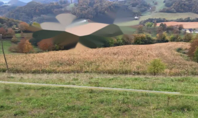 Недвижимость Усадьба Хозяйственное Поле Вуковски Дол: 13