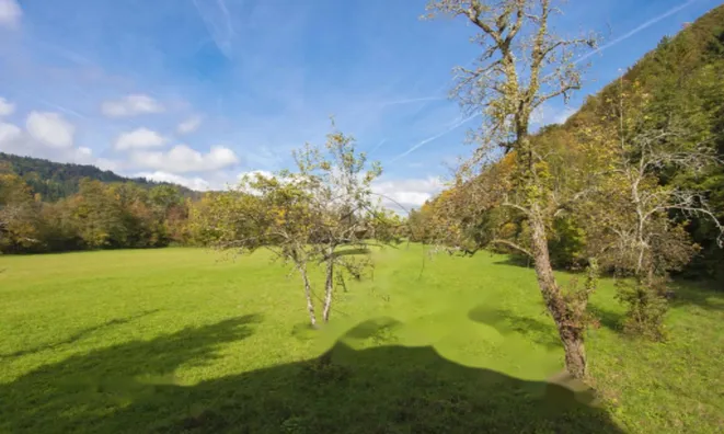 Недвижимость Усадьба, Хозяйство «Новое Желимле»: 1