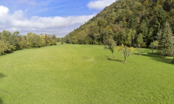 Недвижимость Усадьба, Хозяйство «Новое Желимле»: 3