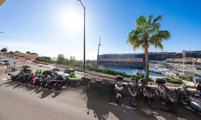 Недвижимость Apartment Monaco, Port: 21