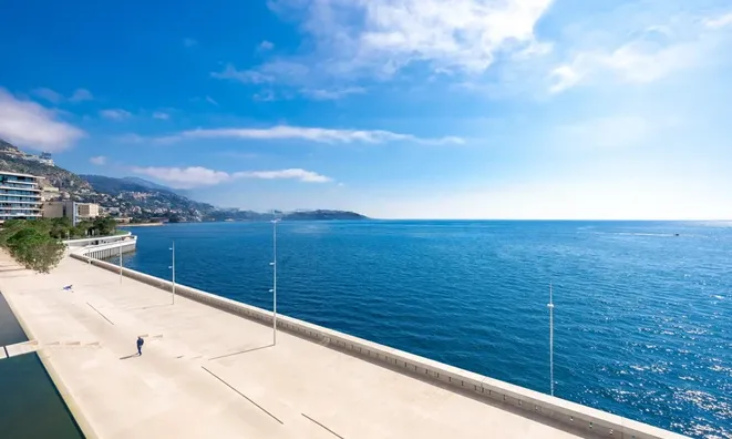 Недвижимость Apartment Monaco, Anse Du Portier: 2