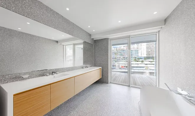 Недвижимость Apartment Monaco, Anse Du Portier: 17