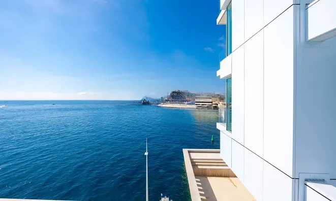 Недвижимость Apartment Monaco, Anse Du Portier: 20