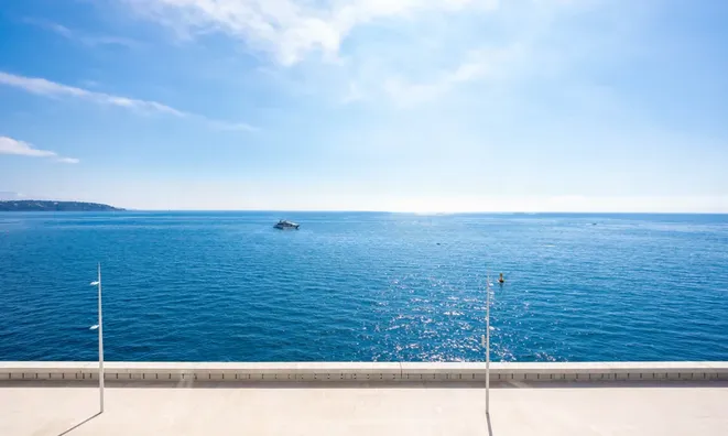 Недвижимость Apartment Monaco, Anse Du Portier: 21