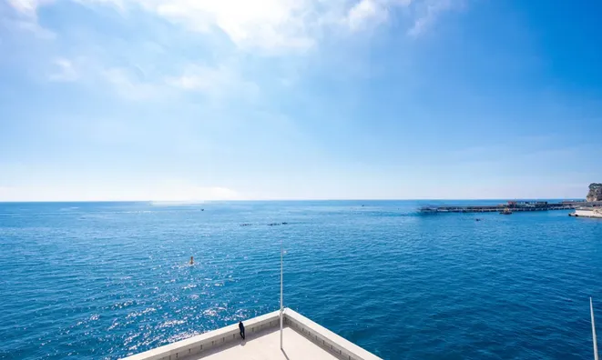 Недвижимость Apartment Monaco, Anse Du Portier: 22