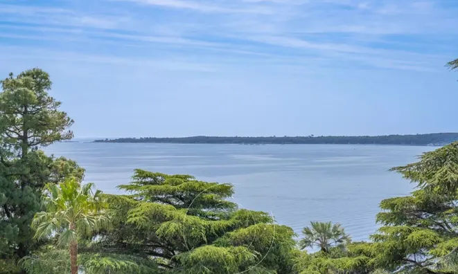 Недвижимость Villa Cannes: 6