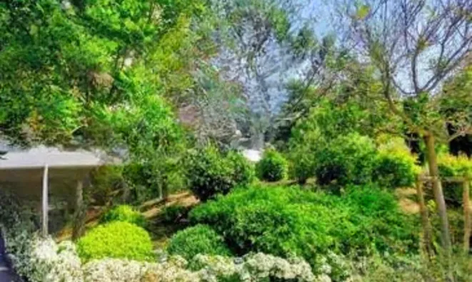 Недвижимость Villa Cannes La Bocca Nord: 3