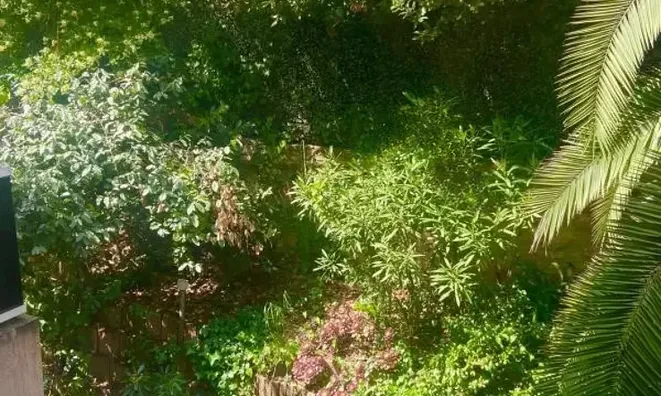 Недвижимость Property Type: Villa  
Location: Cannes, Californie  

Villa Cannes Californie: 19