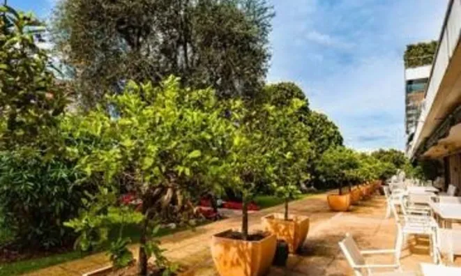 Недвижимость Villa Cannes: 2