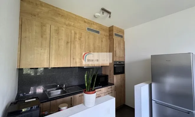 Недвижимость Studio for sale in Luxembourg-Merl: 2