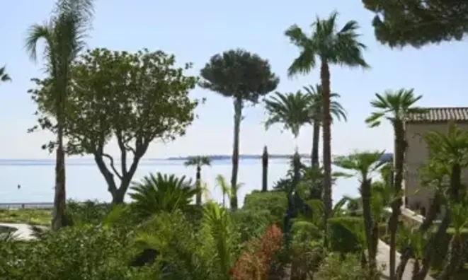 Недвижимость Villa Pointe Croisette: 15