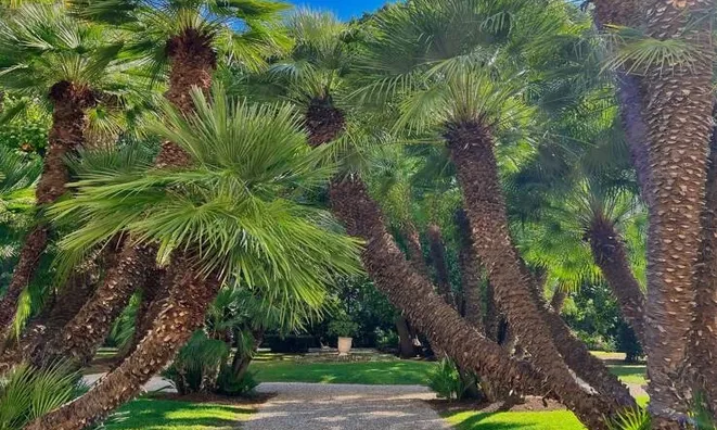 Недвижимость Villa Cannes Californie: 4