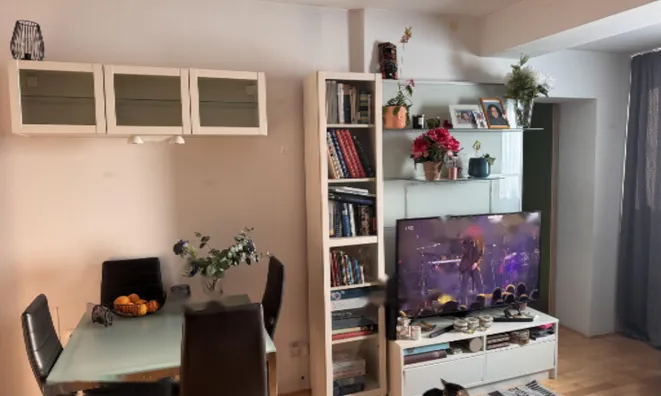 Недвижимость 2-комнатная квартира Изола: 33