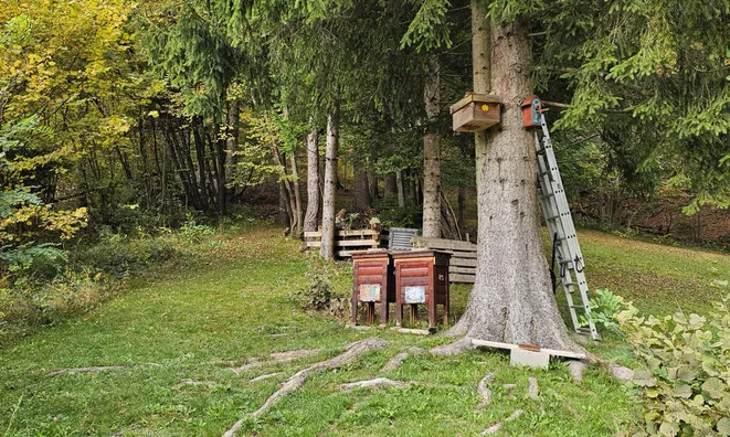 Недвижимость Дом, Зип, Блед-Горье: 4