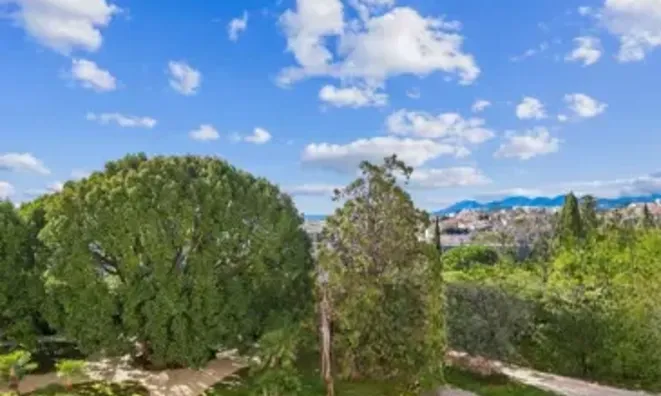 Недвижимость Villa Cannes: 8
