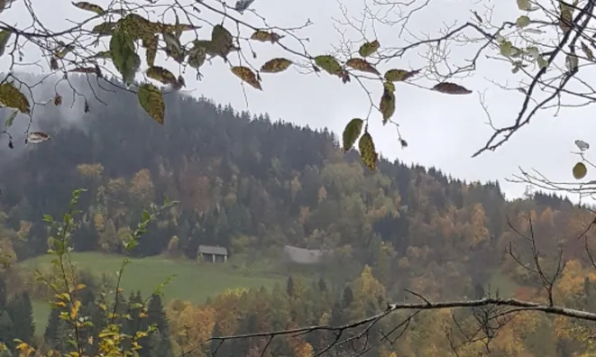 Недвижимость Усадьба, ферма Порежен.: 2