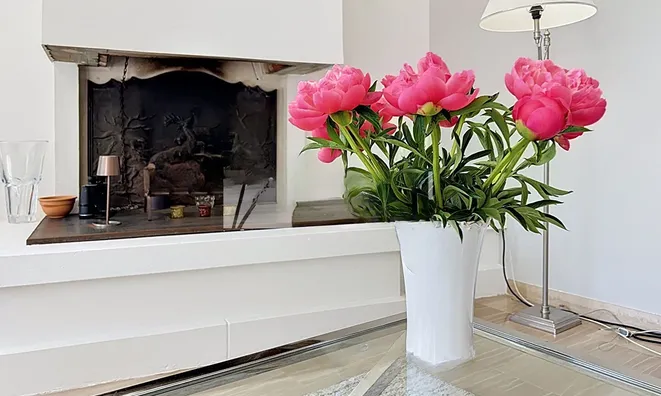 Недвижимость Villa Cannes: 15
